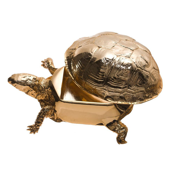 Turtle Pill Box – Allen Designs Studio