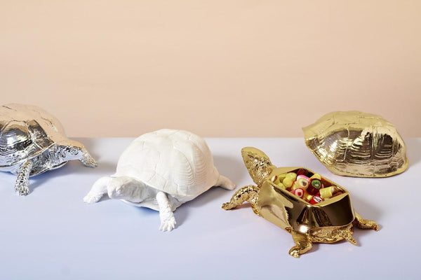 Turtle Pill Box – Allen Designs Studio