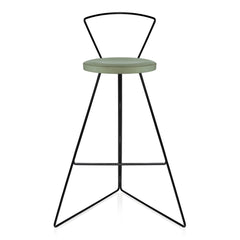 The Coleman Stool with Backrest