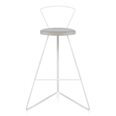 The Coleman Stool with Backrest