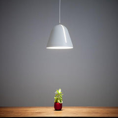 Pendant Lamp - Large