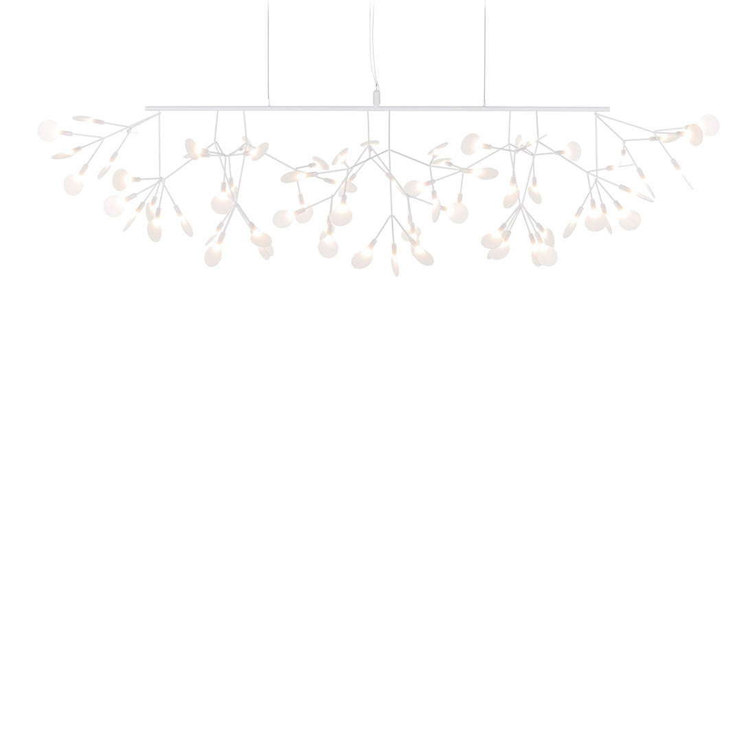 Heracleum III Linear